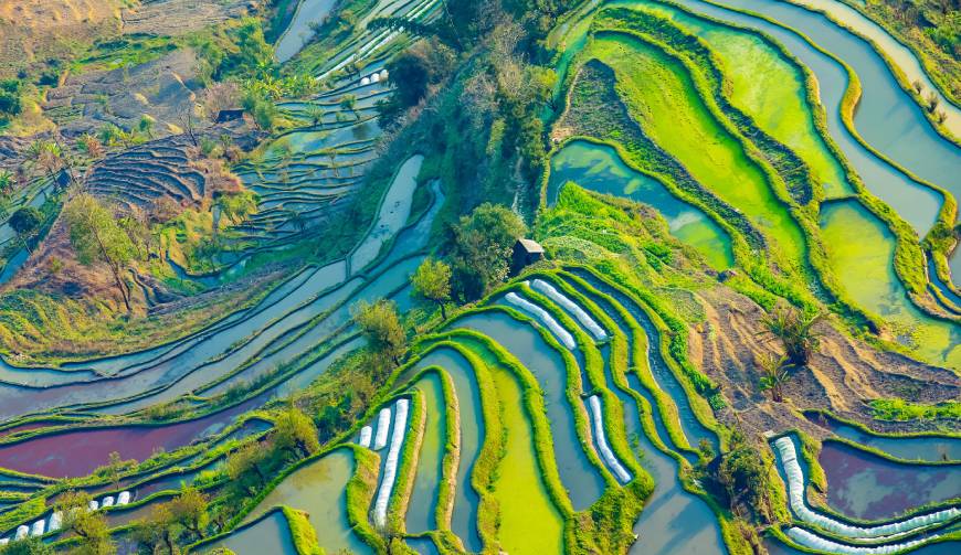 宝妈必备神器：坡头区产品视频拍摄轻松育儿好帮手