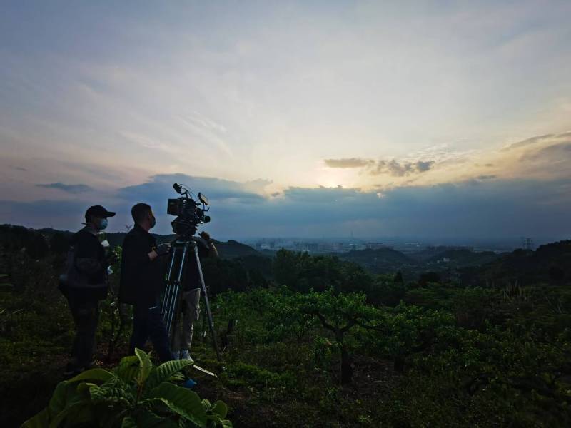 聚焦坡头区产品宣传视频拍摄公司，用专业实力铸就品牌传播传奇