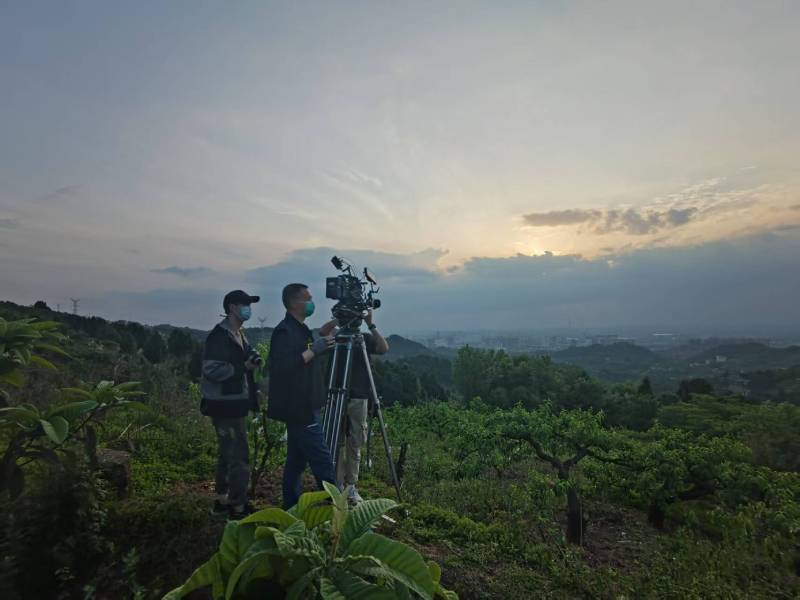 创意破圈！坡头区电商产品宣传视频用故事化叙事引爆流量