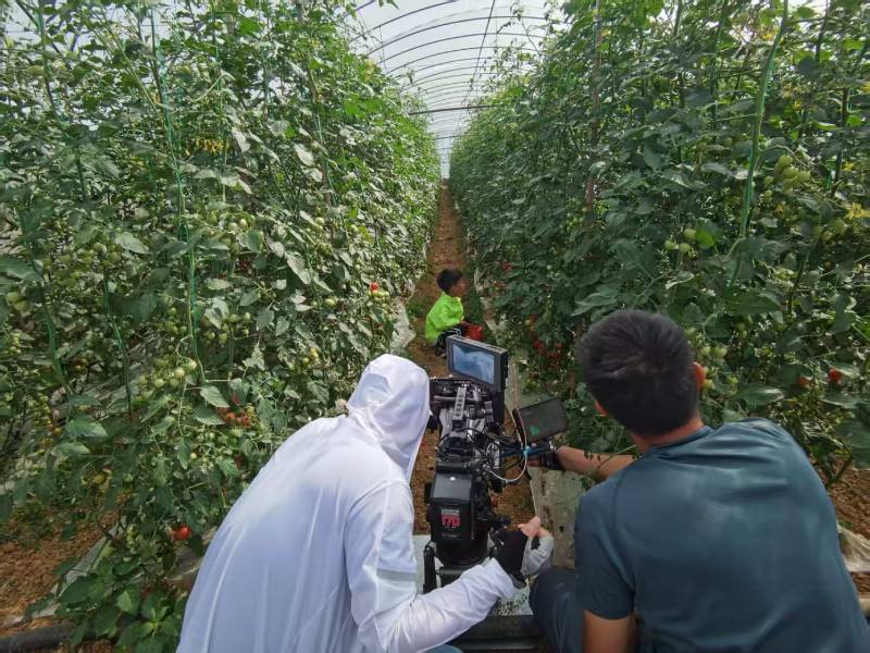 坡头区产品宣传视频拍摄公司进阶指南，助力品牌抢占传播高地